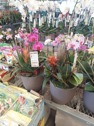 Home Improvement Store «The Home Depot», reviews and photos, 2508 Skyline Blvd, Cape Coral, FL 33914, USA