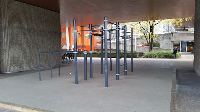 Street Workout Spot - Lausanne