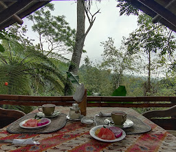 Sang Giri Mountain Glamping Bali photo