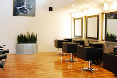 Shear Excellence Hair Salon & Day Spa