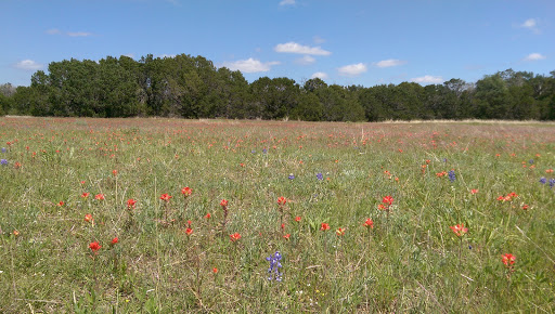 Gift Shop «Dinosaur Valley State Park Store», reviews and photos, 1629 Park Rd 59, Glen Rose, TX 76043, USA