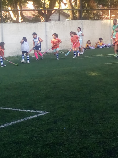 Club Social y Deportivo San Martín Escuela de Futbol Infantil