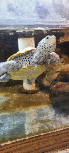 Pet Store «Animal Ark Pet Stores», reviews and photos, 33 Center St, Orem, UT 84057, USA