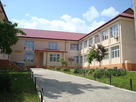 Școala Gimnazială numărul 8 "Elena Rareș"