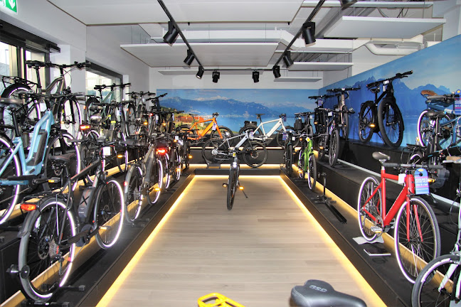 Rezensionen über E-bike Center Geneva in Vernier - Fahrradgeschäft