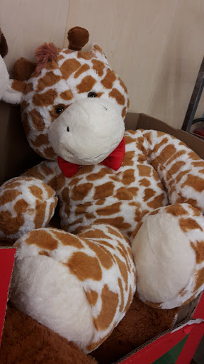 Supermarket «ALDI», reviews and photos, 1365 Lee St, Des Plaines, IL 60018, USA