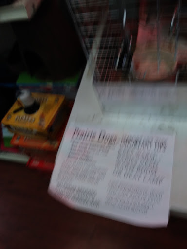 Pet Store «Last Place on Earth Pet Store», reviews and photos, 1461 E Franklin Blvd, Gastonia, NC 28054, USA