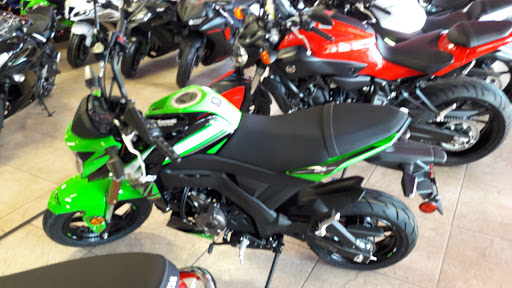 Motorcycle Dealer «McAllen Motor Sports», reviews and photos, 3608 N McColl Rd, McAllen, TX 78501, USA