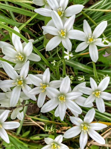 Park «Harrods Creek Park», reviews and photos, 6530 Montero Dr, Prospect, KY 40059, USA