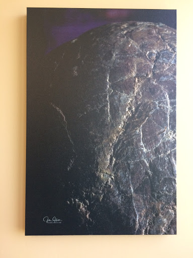 Insurance Agency «Koda Insurance Group», reviews and photos