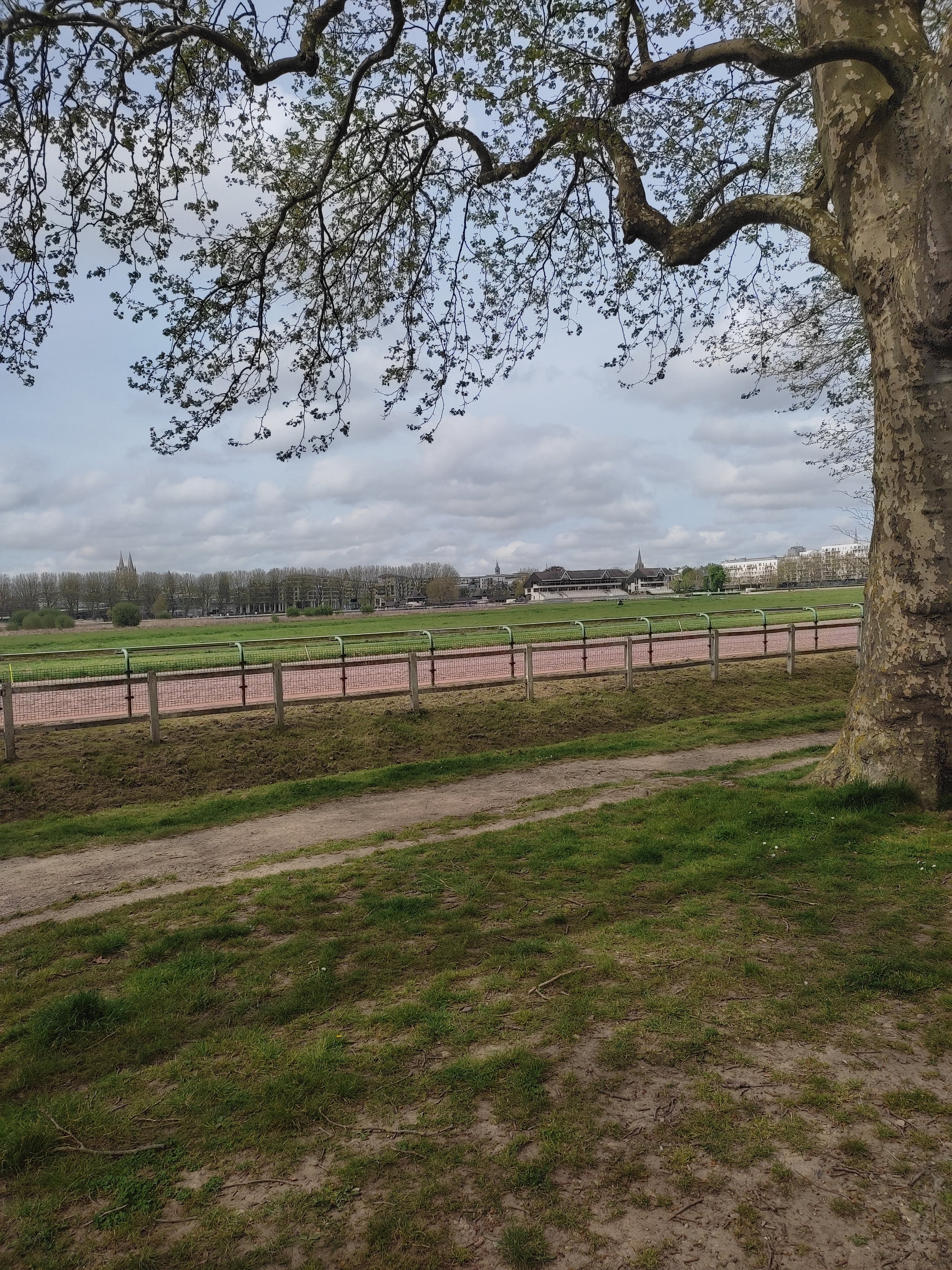 Photo n° 2 de l'avis de Romain.e fait le 19/04/2022 à 18:55