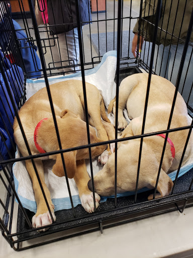 Pet Supply Store «PetSmart», reviews and photos, 2100 88th St, North Bergen, NJ 07047, USA