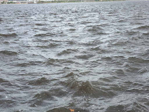 Tourist Attraction «Southbank Riverwalk», reviews and photos, 1001 Museum Cir, Jacksonville, FL 32202, USA