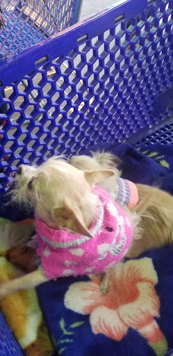 Grocery Store «Grocery Outlet Bargain Market», reviews and photos, 1125 W Main St, Merced, CA 95340, USA