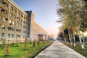 Gulistan State University image