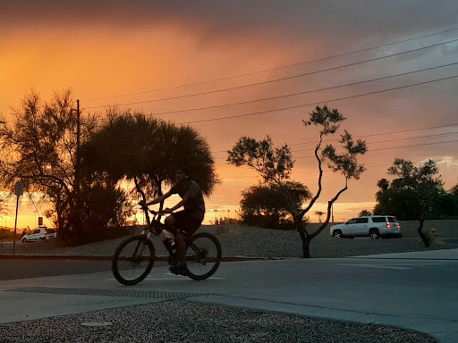 Park «Dust Devil Park», reviews and photos, 10645 W Camelback Rd, Glendale, AZ 85307, USA