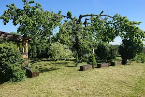 "Dolinka" Family Allotments image