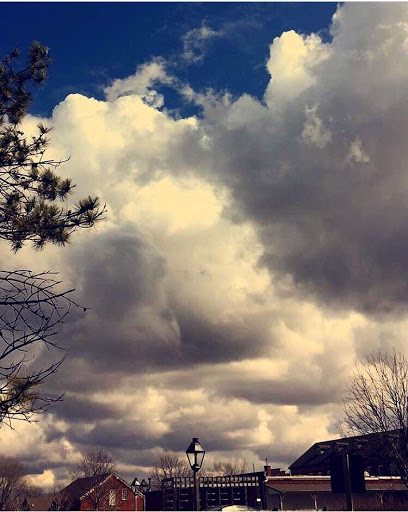 Winery «White Cross Cellars», reviews and photos, 755 48th Ave, Amana, IA 52203, USA