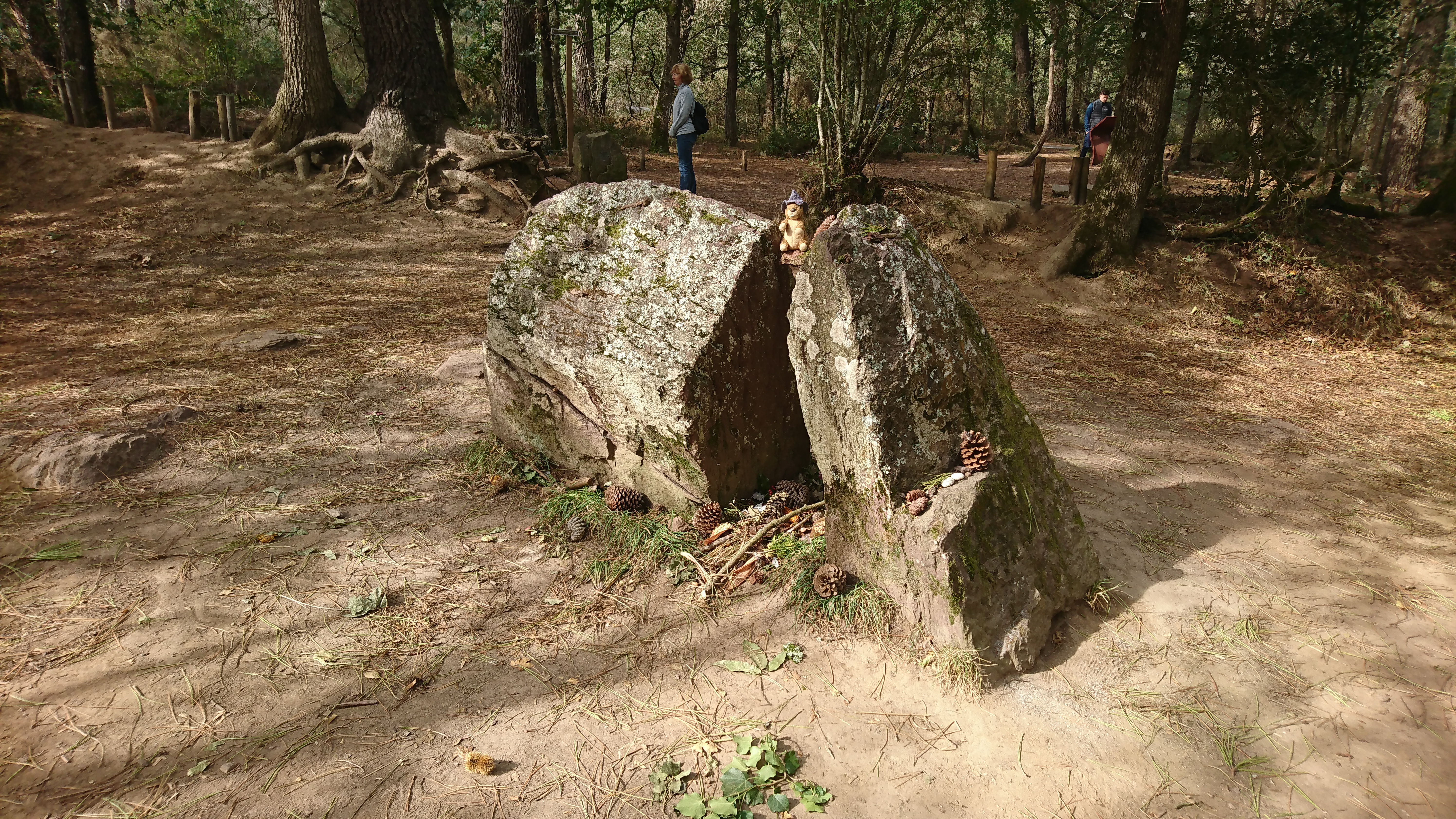 Photo n° 1 de l'avis de Sylvain.o fait le 15/10/2023 à 13:17