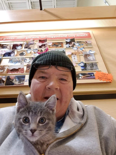 Pet Supply Store «PetSmart», reviews and photos, 4013 Wisconsin 28, Kohler, WI 53081, USA