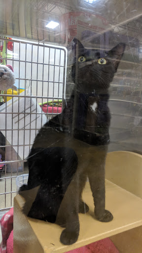 Pet Supply Store «PetSmart», reviews and photos, 14025 SW 88th St, Miami, FL 33186, USA