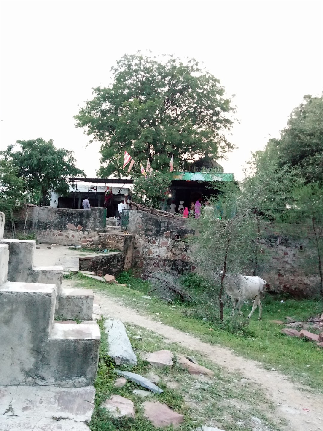 Shree Dev Narayan Temple