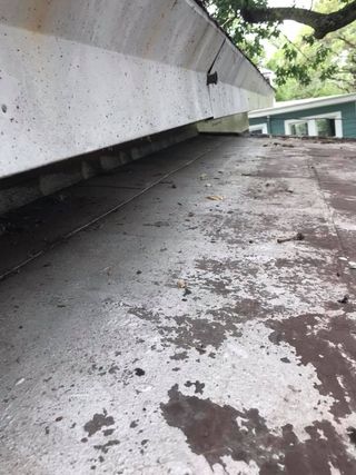 Animal Control Service «Xceptional Wildlife Removal», reviews and photos