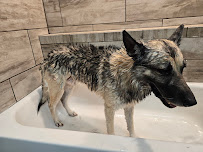 From Head To Tail - Photo 5 - Car repair in Kenosha, WI, Racine