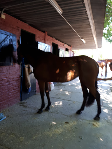 Argentina Equestrian Federation