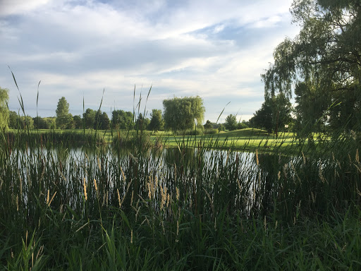 Golf Course «Shadowbrooke Golf Course», reviews and photos, 3192 MN-7, Lester Prairie, MN 55354, USA