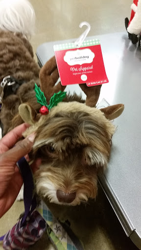 Pet Supply Store «PetSmart», reviews and photos, 4500 Mitchellville Rd, Bowie, MD 20716, USA