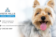 Vista Hills Animal Hospital