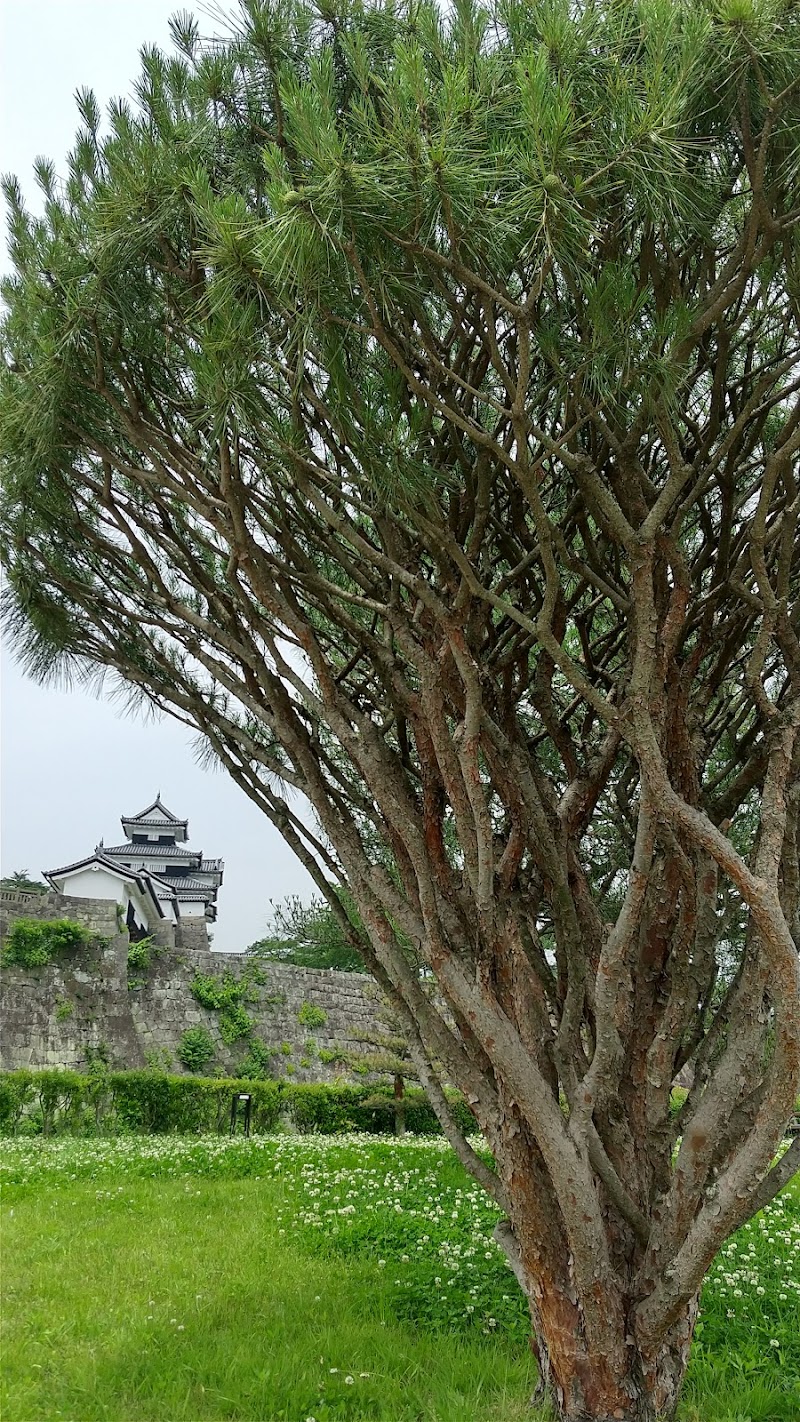 白河小峰城