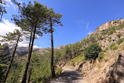 RESTONICA à Corte