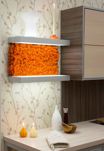 Marble Supplier «Stonica», reviews and photos, 2905 NW 79th Ave, Doral, FL 33122, USA