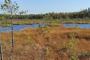 Varnikai Nature Trail image