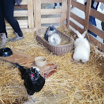 Photo n° 14 de l'avis de Elisabeth.i fait le 15/05/2019 à 13:17 pour Ferme Pédagogique de Pontoise à Pontoise