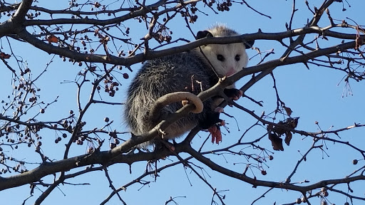 State Park «James Pate Philip State Park», reviews and photos, 2050 W Stearns Rd, Bartlett, IL 60103, USA