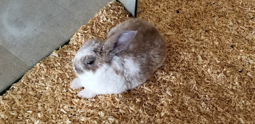 Animal Feed Store «New Braunfels Feed & Supply», reviews and photos, 810 Loop 337, New Braunfels, TX 78130, USA