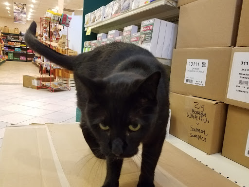 Pet Supply Store «Living Things», reviews and photos, 3437 PA-309, Orefield, PA 18069, USA