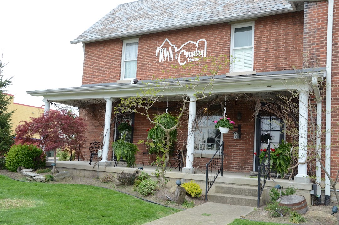 Town and Country Flowers, Gifts & Interiors