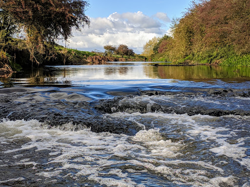River Dearne