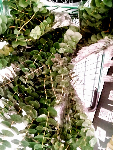 Fabric Store «Jo-Ann Fabrics and Crafts», reviews and photos, 10545 S Mall Dr, Baton Rouge, LA 70809, USA