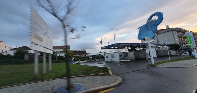 Elefante Azul - Castelo Branco
