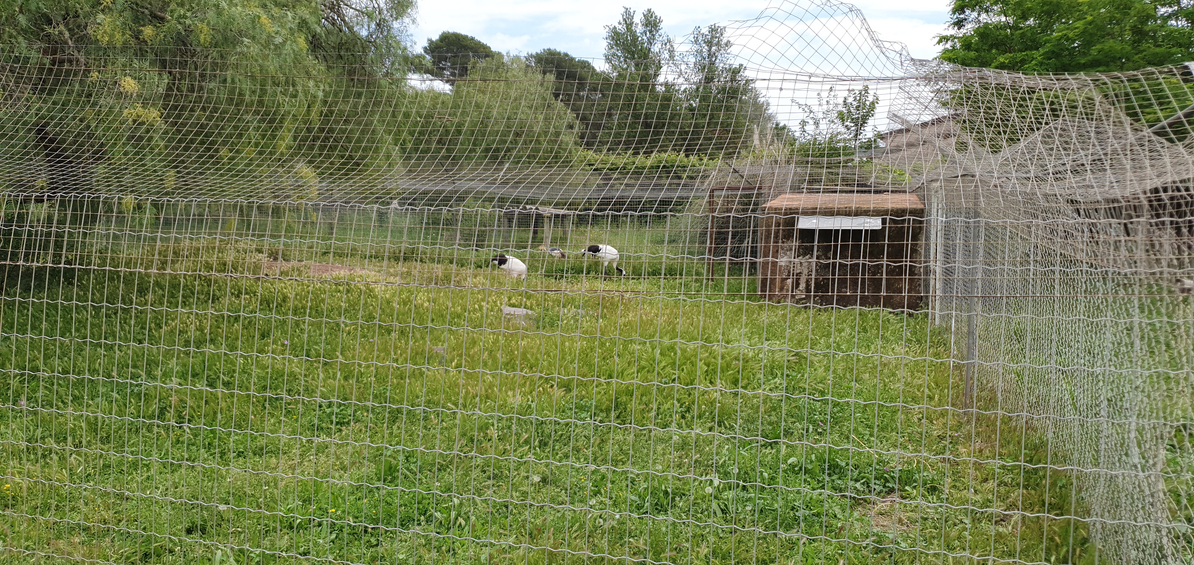 Photo n° 19 de l'avis de Fadella.R fait le 30/05/2021 à 19:03
