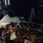 Photo n°1 de l'avis de Maria.o fait le 04/04/2017 à 16:38 sur le  Restaurant Meson Galicia à Hamburg