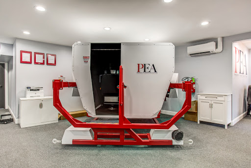 Flight School «Phoenix East Aviation», reviews and photos