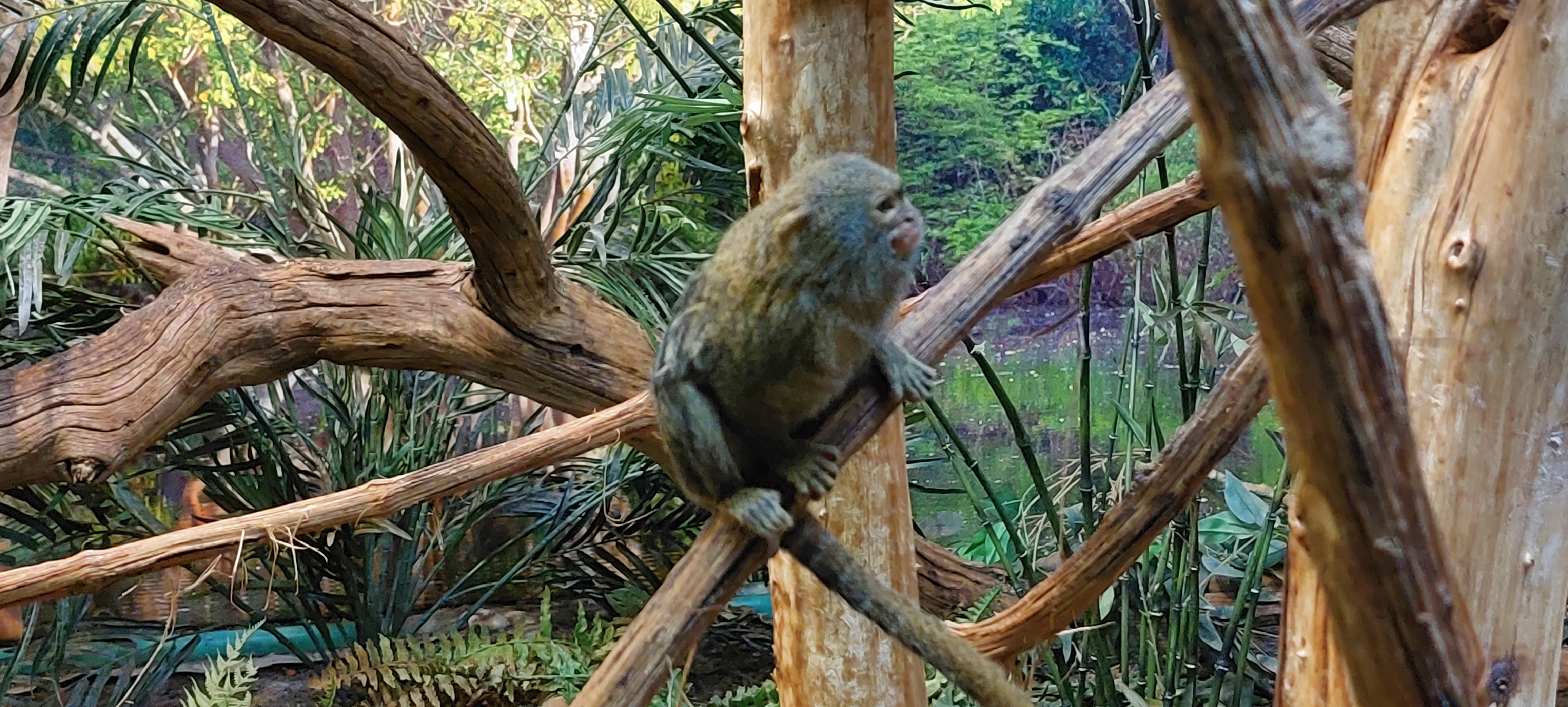 Photo n° 3 de l'avis de nathalie.E fait le 08/10/2023 à 08:49