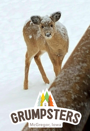 Cabin Rental Agency «Grumpsters Log Cabins», reviews and photos, 535 Ash St, McGregor, IA 52157, USA