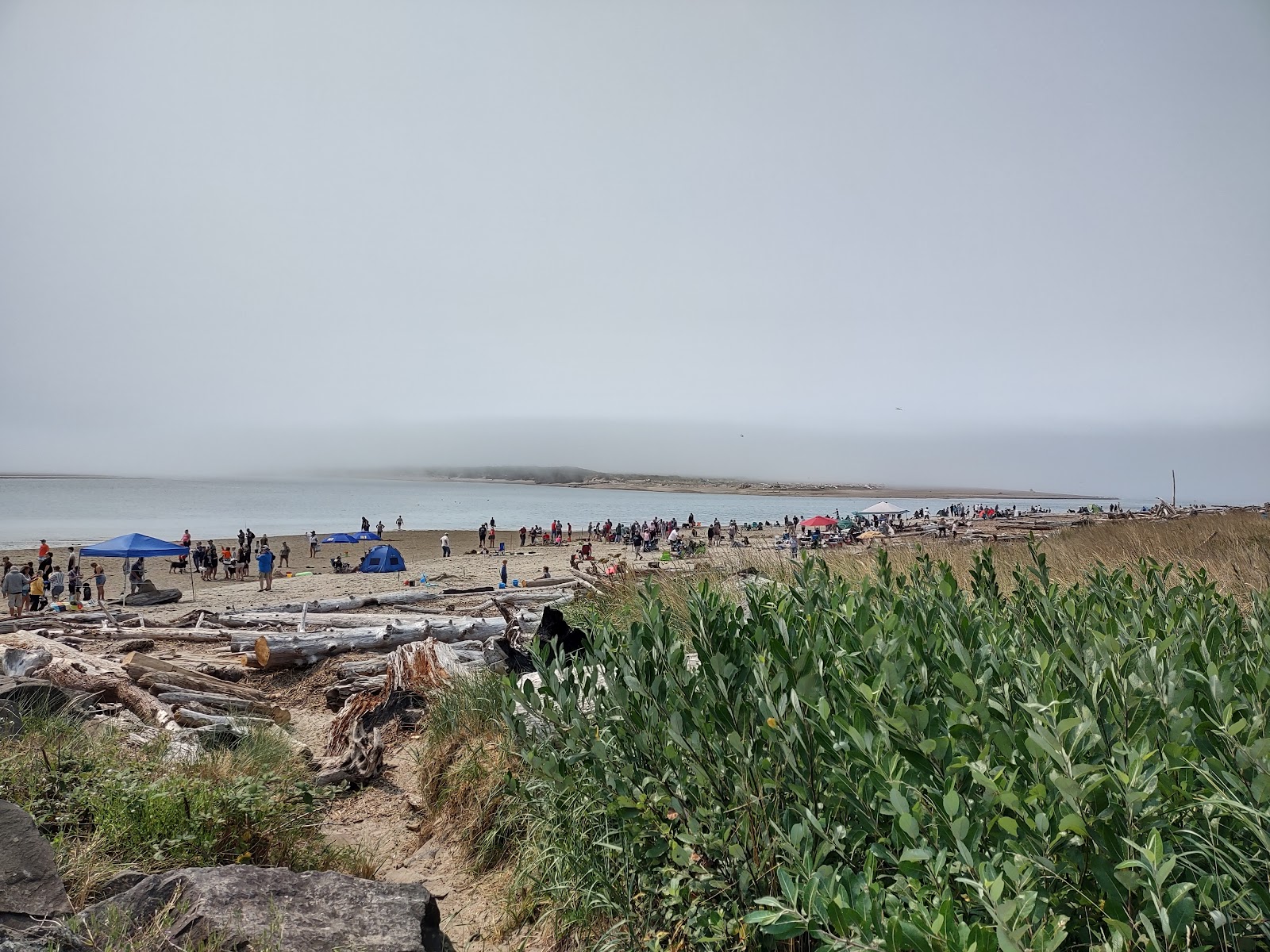 Foto de Taft beach y el asentamiento